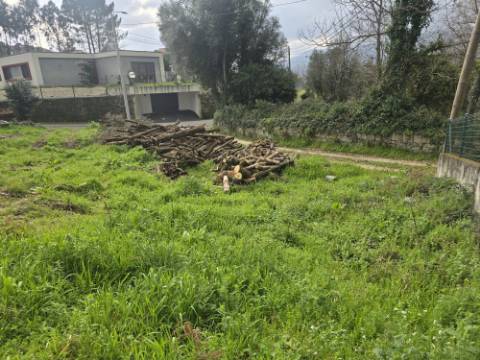 Terreno Urbano em Souto