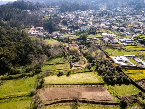 Quinta em Deocriste com 12 ha de terreno