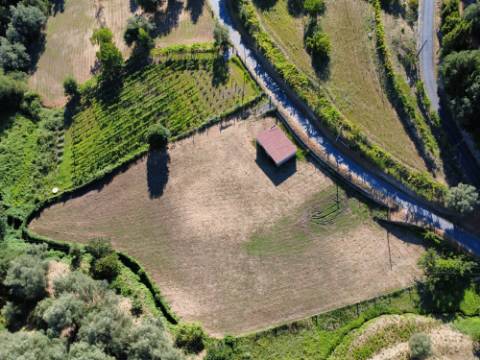 Terreno Souto