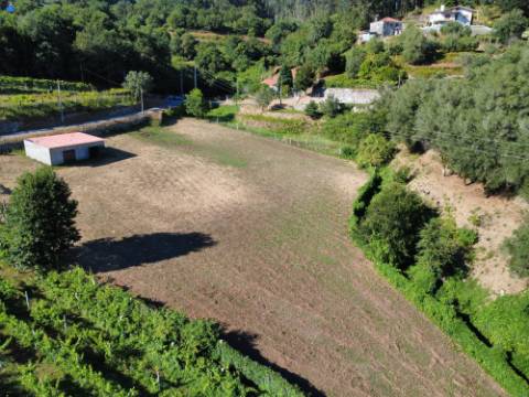 Terreno Souto