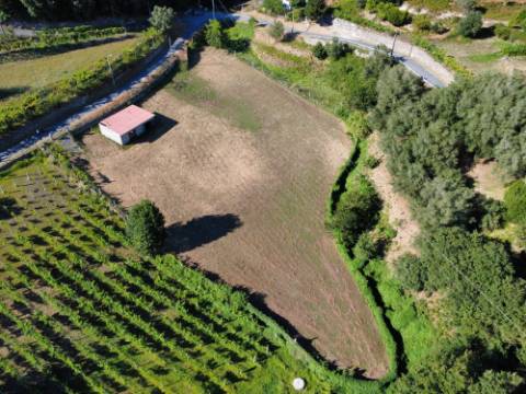 Terreno Souto