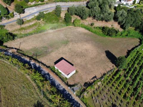 Terreno Souto