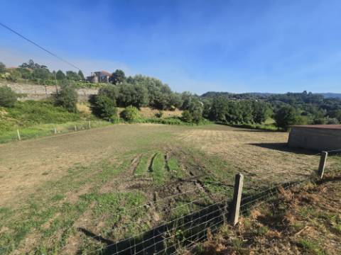 Terreno Souto