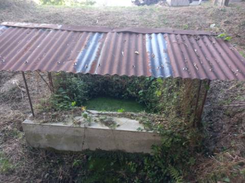 Terreno Souto