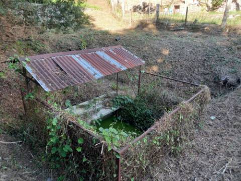 Terreno Souto