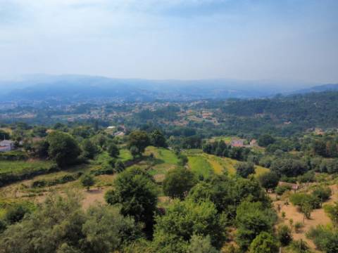 Ruina T3 Azere