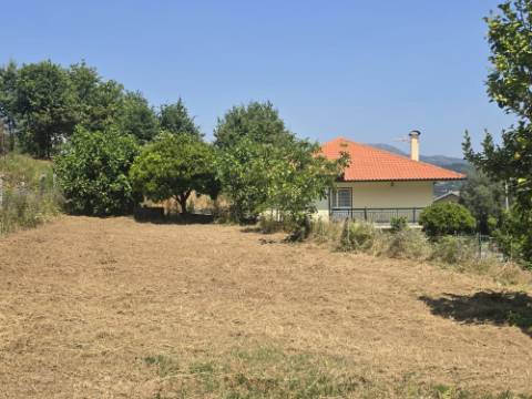 Moradia V3 Souto