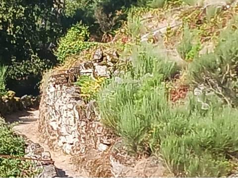 Terreno Urbano com 3 Ruinas em Soajo