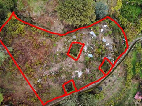 Terreno Urbano com 3 Ruinas em Soajo