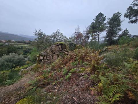 Terreno Urbano com 3 Ruinas em Soajo