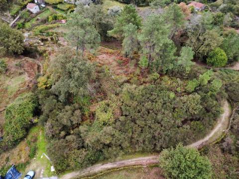 Terreno Urbano com 3 Ruinas em Soajo