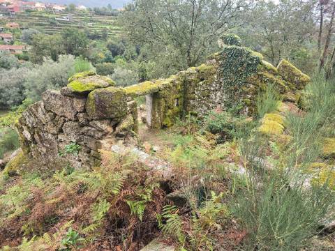Terreno Urbano com 3 Ruinas em Soajo