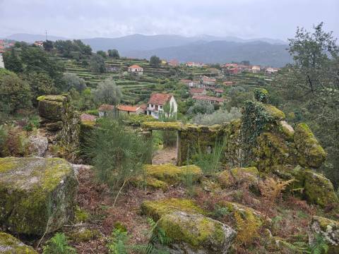 Terreno Urbano com 3 Ruinas em Soajo
