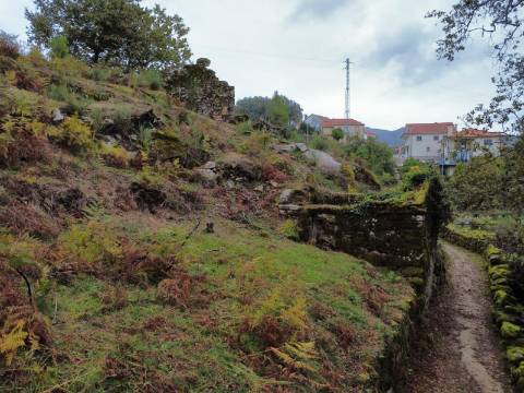 Terreno Urbano com 3 Ruinas em Soajo