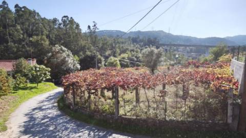 Moradia térrea T3+1, nova construção