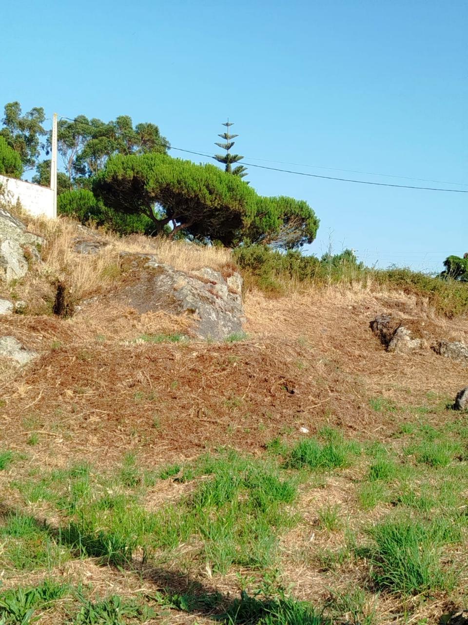Terreno para construção em Areosa - Viana do Castelo