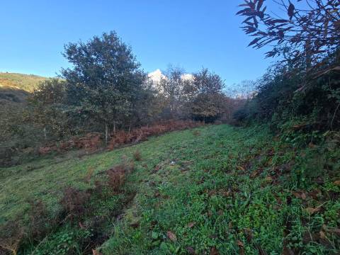 Terreno Rio Frio