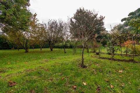 Moradia