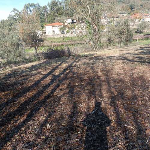 Terreno para Construção
