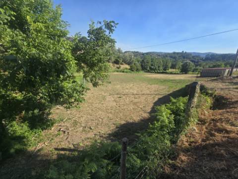 Terreno Souto
