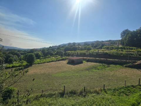 Terreno Souto