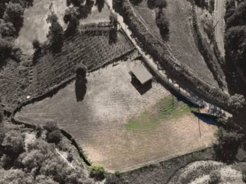 Terreno Souto