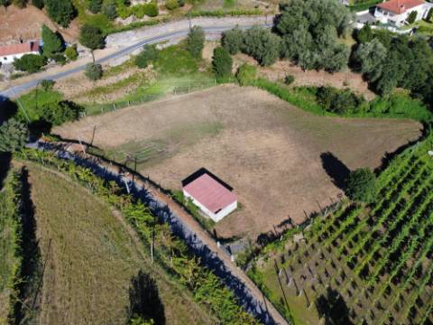Terreno Souto