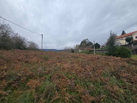Terreno Souto