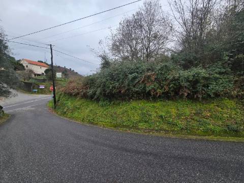 Terreno Souto