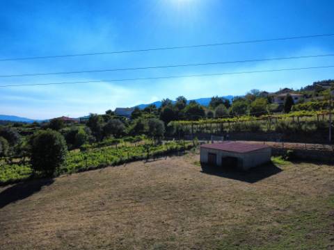 Terreno Souto