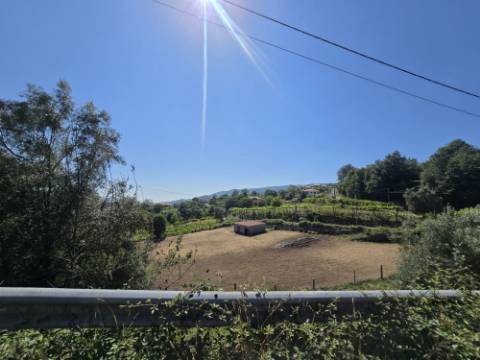 Terreno Souto