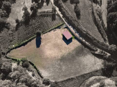 Terreno Souto