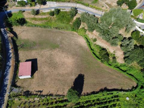 Terreno Souto