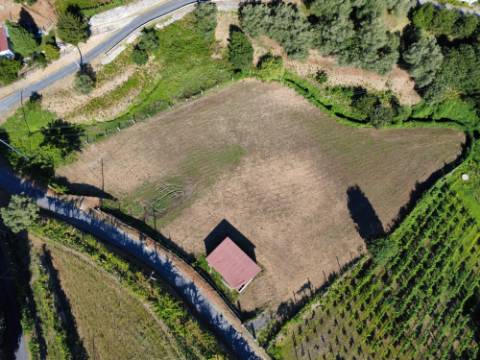 Terreno Souto