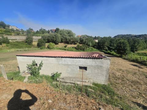 Terreno Souto