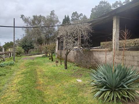 Quinta com 1 ha em Fontoura perto do caminho de Santiago