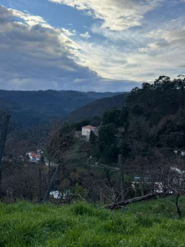 Moradia