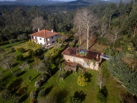 Quintinha c/ Moradia V4+1 e Moradia Antiga