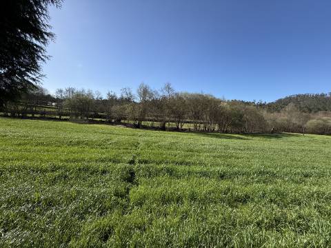 Quinta c/ Moradia V4 em Panque, Barcelos