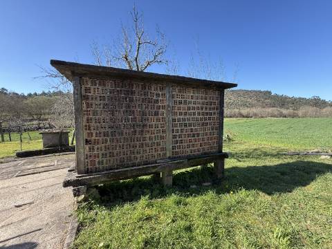 Quinta c/ Moradia V4 em Panque, Barcelos