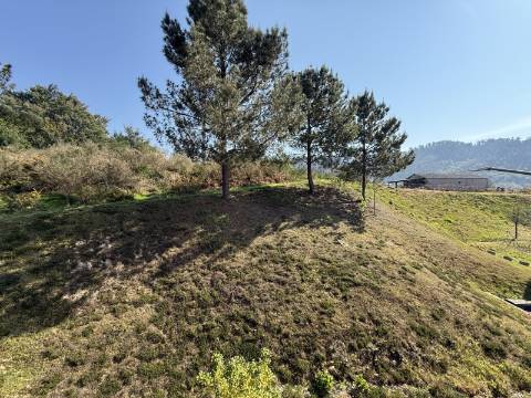 Apartamento T3 Duplex Renovado em Giela, Arcos de Valdevez