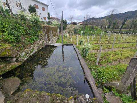 Terreno Nogueira