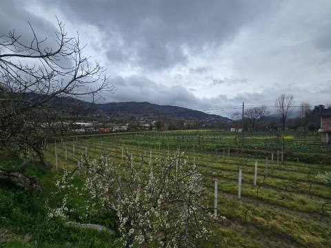 Terreno Nogueira