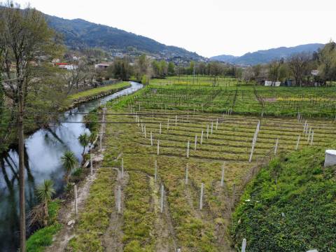 Terreno Nogueira