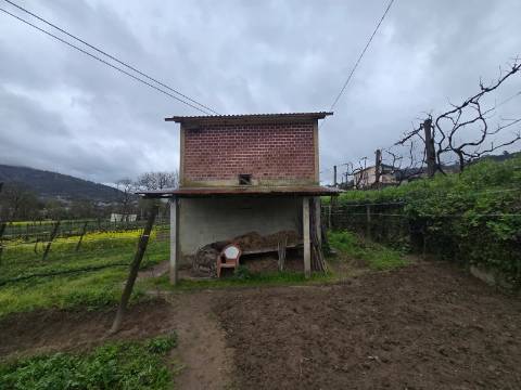 Terreno Nogueira