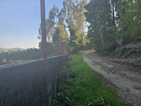 Duas Moradias Por Recuperar