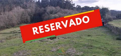 Terreno com 8000m2 na Miranda