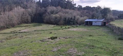 Terreno com 8000m2 na Miranda