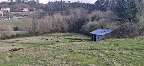Terreno com 8000m2 na Miranda