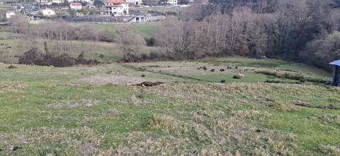 Terreno com 8000m2 na Miranda